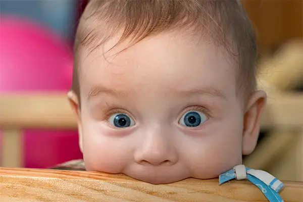 Babys und Eltern nehmen an Spiel- und Bewegungsaktivitäten teil, um Sinne zu entdecken und die Bindung zu stärken.